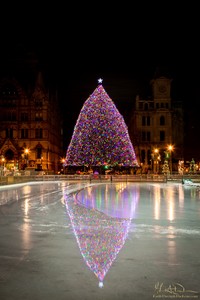 Clinton Square Christmas Tree