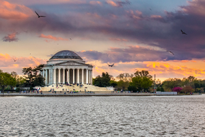 Sunset view of the Jefferson Memorial with birds flying overhead, in Washington, D.C.