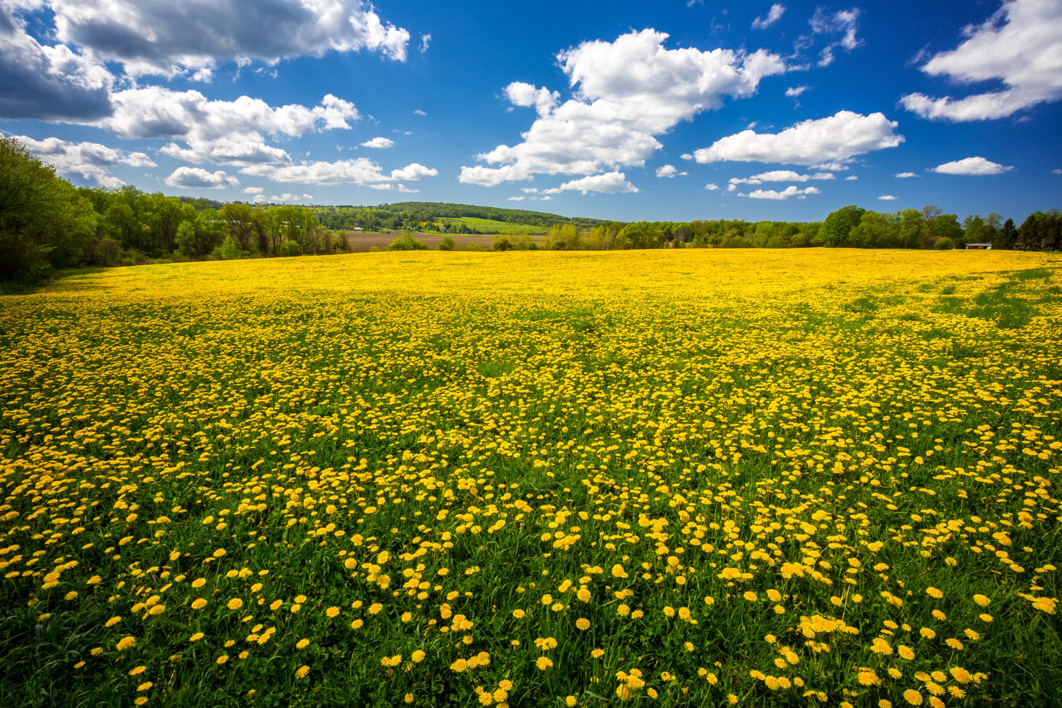 where-to-fly-a-drone-in-upstate-ny-for-scenic-photos-and-video-earth